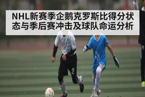 NHL新赛季企鹅克罗斯比得分状态与季后赛冲击及球队命运分析 - kaiyun