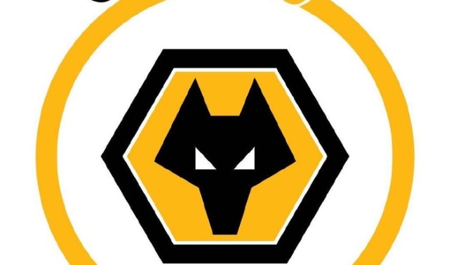 狼队更换头像引发新旧对比讨论