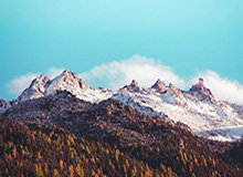 开云体育官网：开启体育娱乐新纪元的智能体验